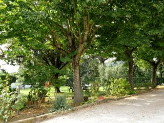 Casa Dina - Terontola - 3