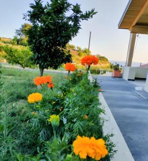 Agriturismo Green House - 6