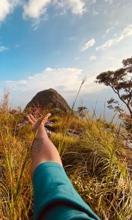 Wayanad Campaign Parudeesa - 8