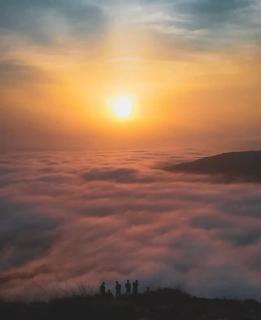 Wayanad Campaign Parudeesa - 7