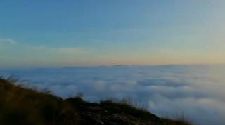 Wayanad Campaign Parudeesa - 4