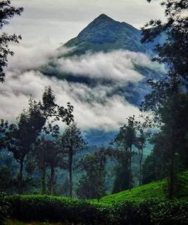 Wayanad Campaign Parudeesa - 3