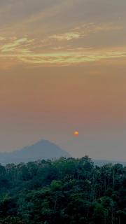 Wayanad Campaign Parudeesa - 1