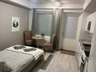 Cozy studio in the center - 6