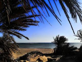 Nakhlat E'taal Camp - نخلة التل كامب - 1