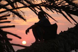 Palm dune Sanctuary - 9