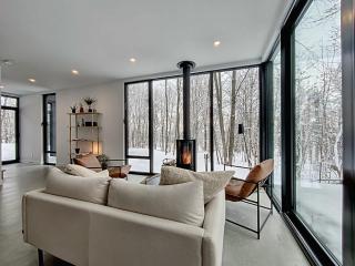 Chalet Black Box - 4