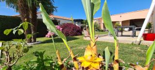 Le Pavachon gîte familiale piscine privée chauffée - Aux portes du Puy duFou - 9