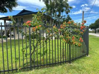 Palmettobay#2, 2 Bedroom4 Twin Beds Park2 Cars - 2