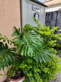 Chic 22 Villa in Lil Havana, Free Parking - 4