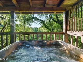 Bluff Mountain's Private Retreat - 1