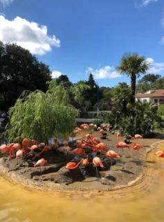 ZEcamping familial avec piscine - proche Oléron - 8