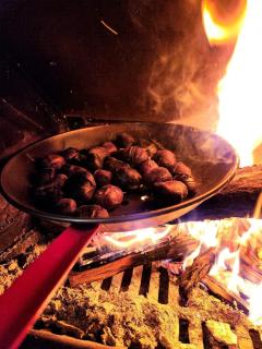 Maison au pied des montagnes ariégeoises - 6