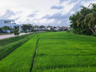 Villa 115 - 2 Bed 2 Bath Entire Villa with Private Pool - 8