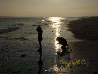 K149 Parkdean Camber Sands - 4