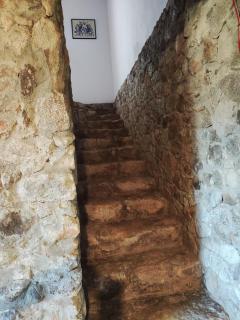 Canto Mineiro Hostel - 4