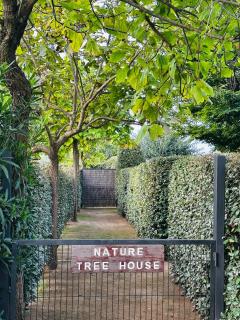 Cabaña en los Arboles - 3