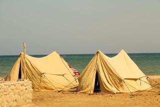 Palm dune Sanctuary - 2