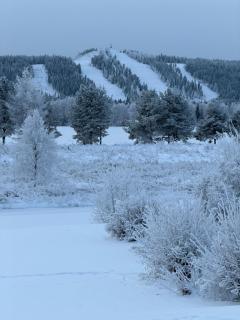 Scandi House Rovaniemi - 9