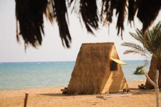 Palm dune Sanctuary - 6