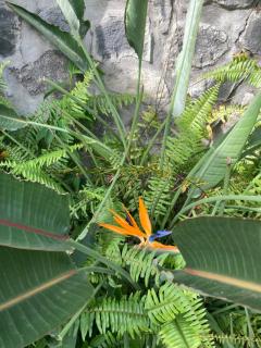 La Kaz' Lila - Villa avec piscine - Jardin 1000m2 - 1