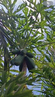 La Kaz' Lila - Villa avec piscine - Jardin 1000m2 - 3