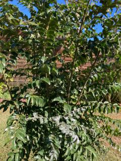 La Kaz' Lila - Villa avec piscine - Jardin 1000m2 - 4