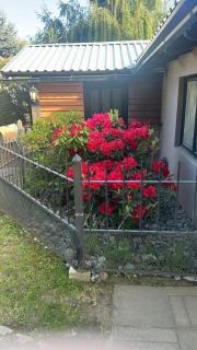 Cálida Cabaña ideal para parejas - 9