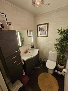 Blue Villa Lapland - Rovaniemi - 6