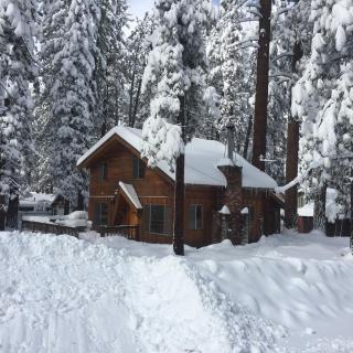 Paradise in cedar #2095 - 0