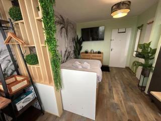 Studio le Cosy Jungle - 6