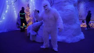 Appartamento nella Tuscia La Pucciarella - 8