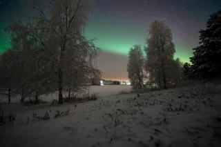 Arctic Family Villa - 8