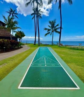 Oceanview King 1BR in Papakea Resort - 5