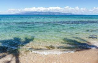 Oceanview King 1BR in Papakea Resort - 3