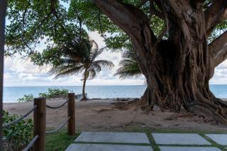 Get Sense #306 - Beira mar por Carpediem - 4