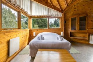 BOG Altos de Antilhue - Apart con vista al bosque - 4