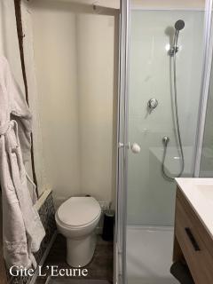 Le Grand Faubourg les Gîtes Ecurie et La Faïencerie - 7