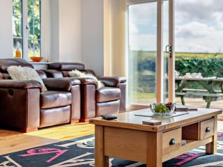 5 Bed in Newquay 46489 - 4