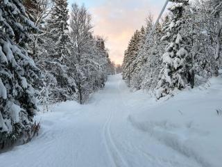 Cozy apartment near the city center and nature - 9