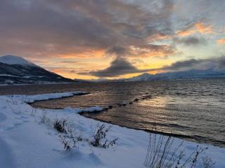 Cozy apartment near the city center and nature - 8