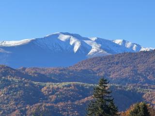 Pensiunea Heaven - 8