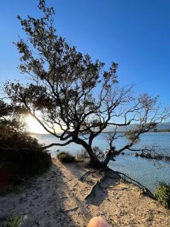 Modern Villa proche Saint Cyprien et Cala Rossa - 7