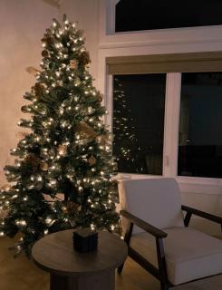 Driftwood Luxe Lakefront Retreat - Tobermory - 4