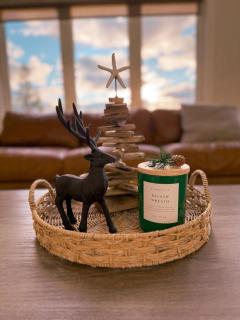 Driftwood Luxe Lakefront Retreat - Tobermory - 3