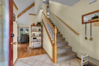 975 Golden Pheasant - 3