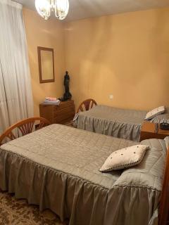 Tempranillo in Rioja Alavesa - 4