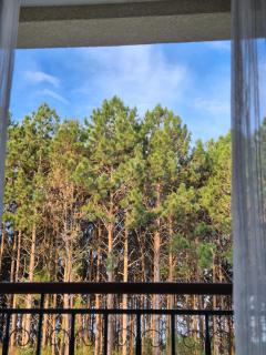 Apart Vista Azul - Conforto com a vista para a mata de pinheiros - Domingos Martins - 3