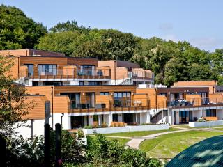 Curlew 4 - The Cove - 6