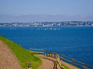 Curlew 4 - The Cove - 4